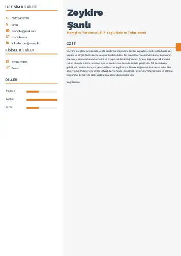 Hasta ve Yaşlı Bakım Elemanı Cv Örnekleri cv indir